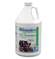 Best Dry Shampoo