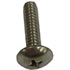 Swoop Shoe Screw